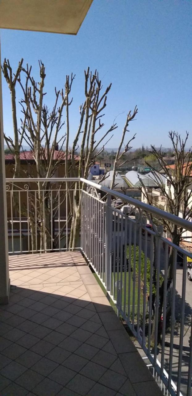 Hotel Alfa Anche In All Inclusive Rimini Extérieur photo